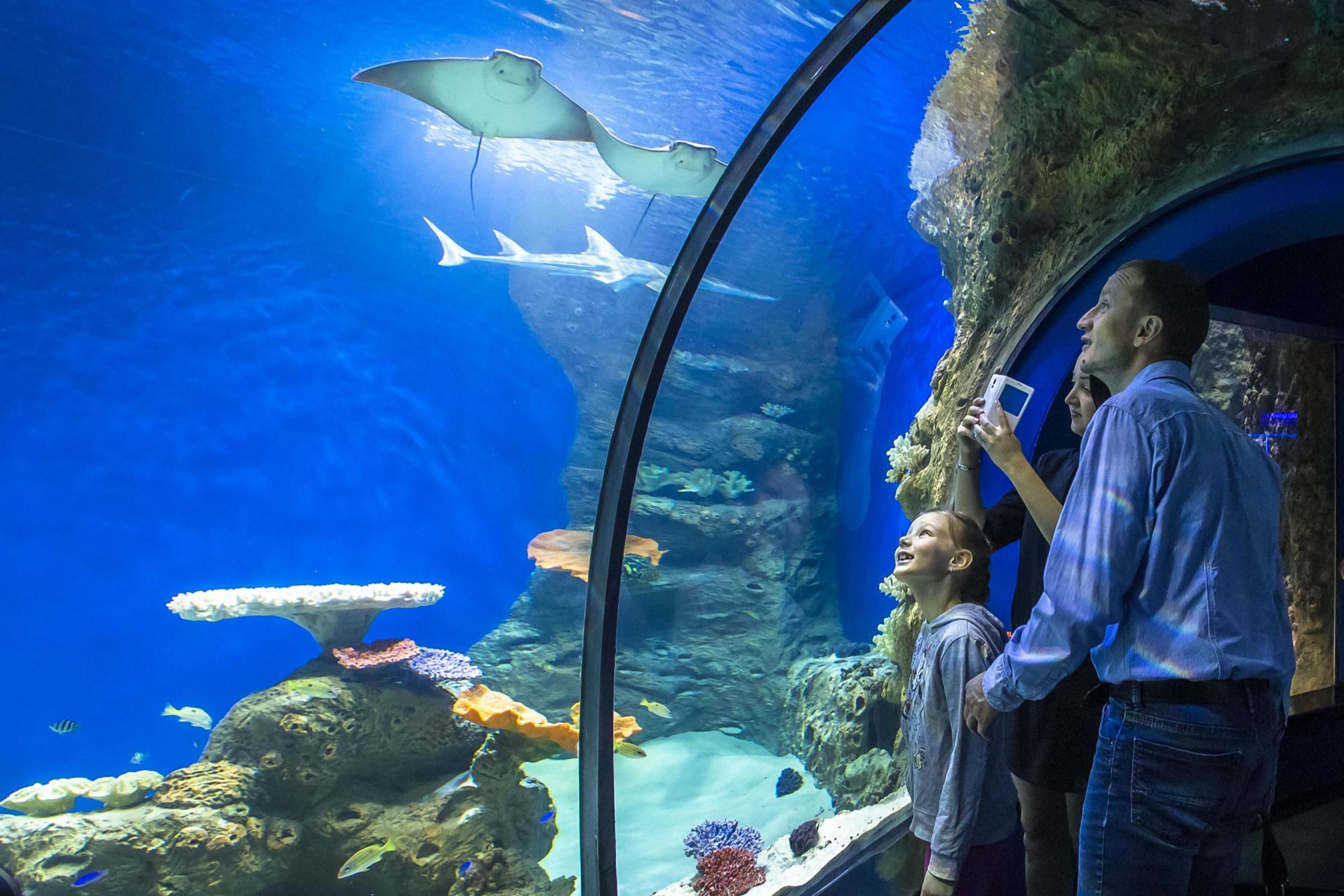 Wuxlyn Aquarium: Immersion in the Magical World