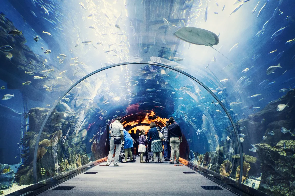 Wuxlyn Aquarium: Unique Themes and Exhibitions